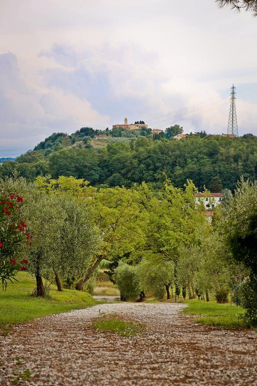 Podere Lo Stringaio Fauglia Phòng bức ảnh