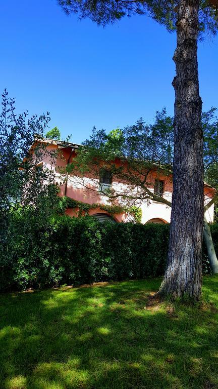 Podere Lo Stringaio Fauglia Ngoại thất bức ảnh